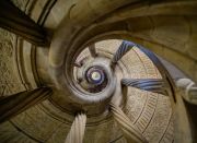 006 Amelie Häfner 2